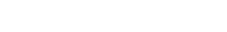Bonaire-Rentals-Text-Logo-footer