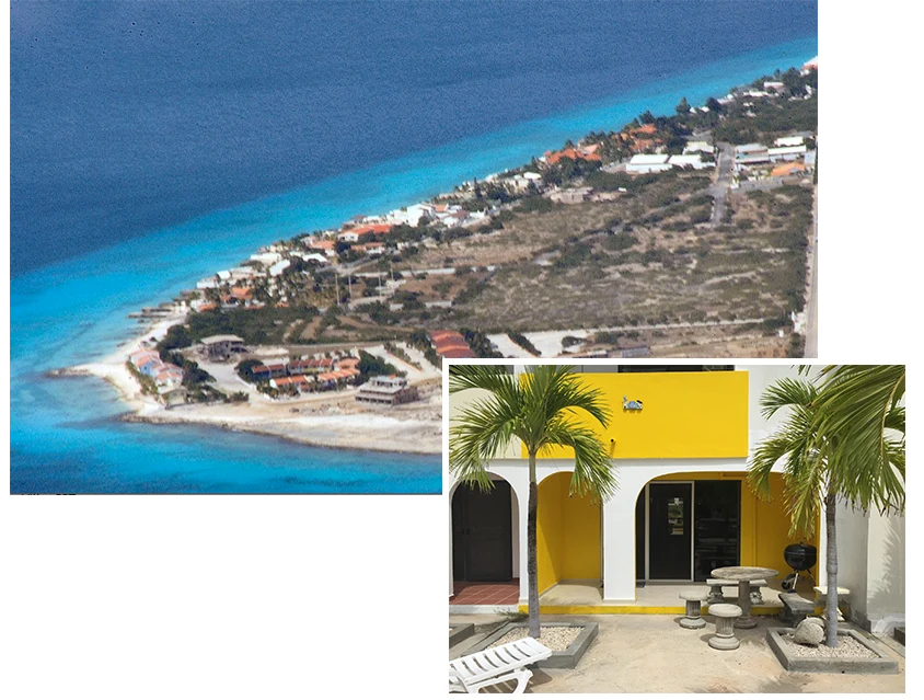 Bonaire-Rentals